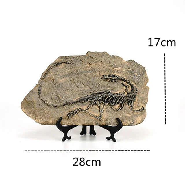 Dinosaurus Fossiele Hars Ambachtelijke Replica Woonkamer Decoratie Souvenir Huis Cadeau
