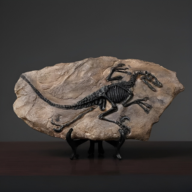 Dinosaur Replica | Unique Fossil Living Room Decoration for Dinosaur Lovers and Collectors