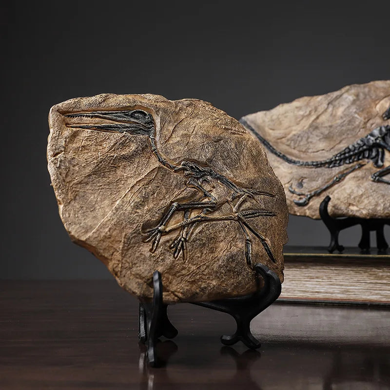 Dinosaur Replica | Unique Fossil Living Room Decoration for Dinosaur Lovers and Collectors